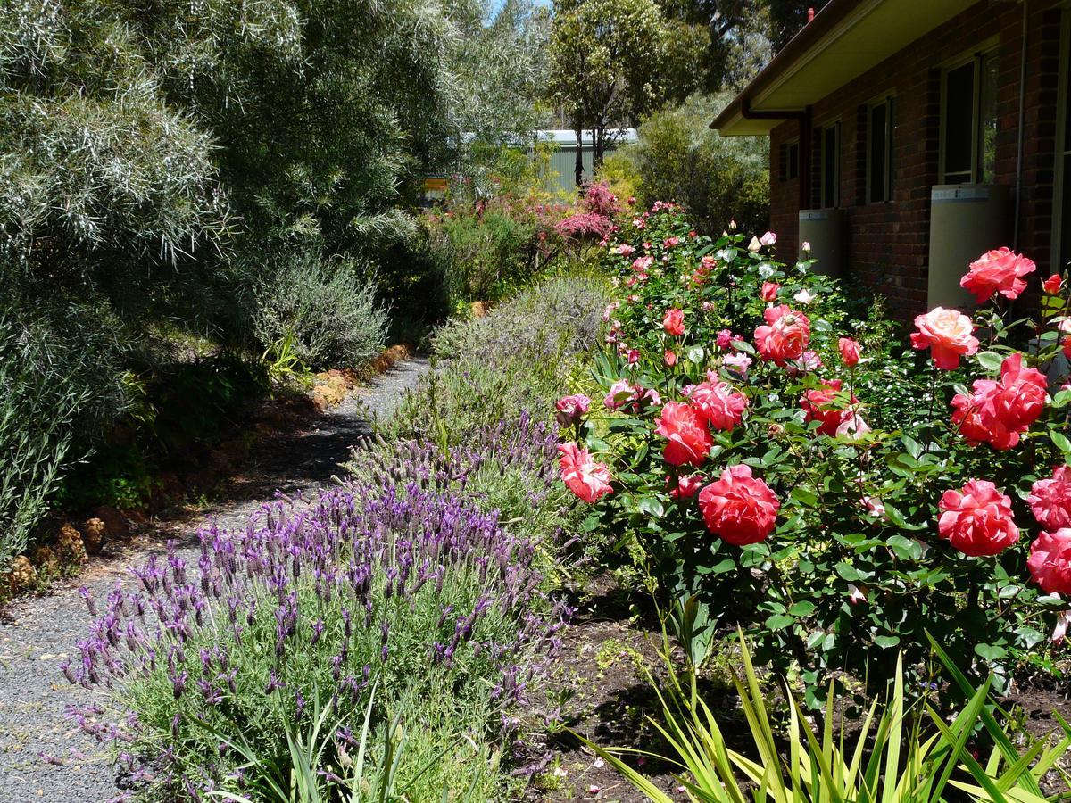 Donnybrook Country Charm Retreat B&B المظهر الخارجي الصورة